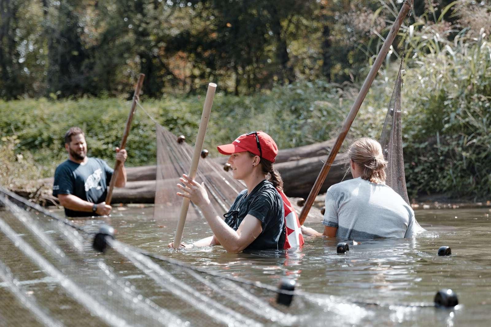 students in the river with nets